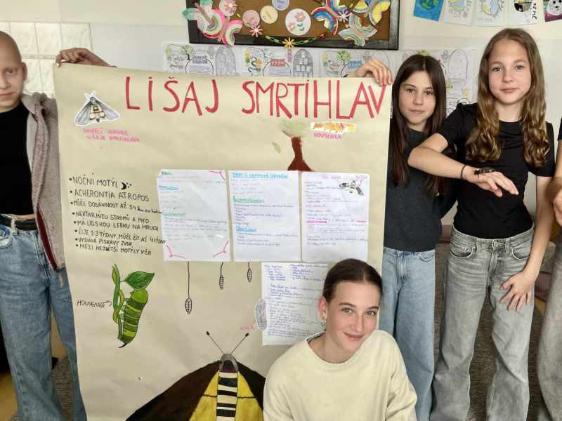 lišaj